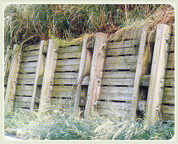 （写真）治山・木製擁壁