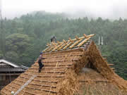 茅葺屋根の修復工事用