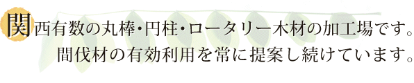 木の成長を促し、森林の健康を守りたい。環境に優しい間伐材利用を・・・