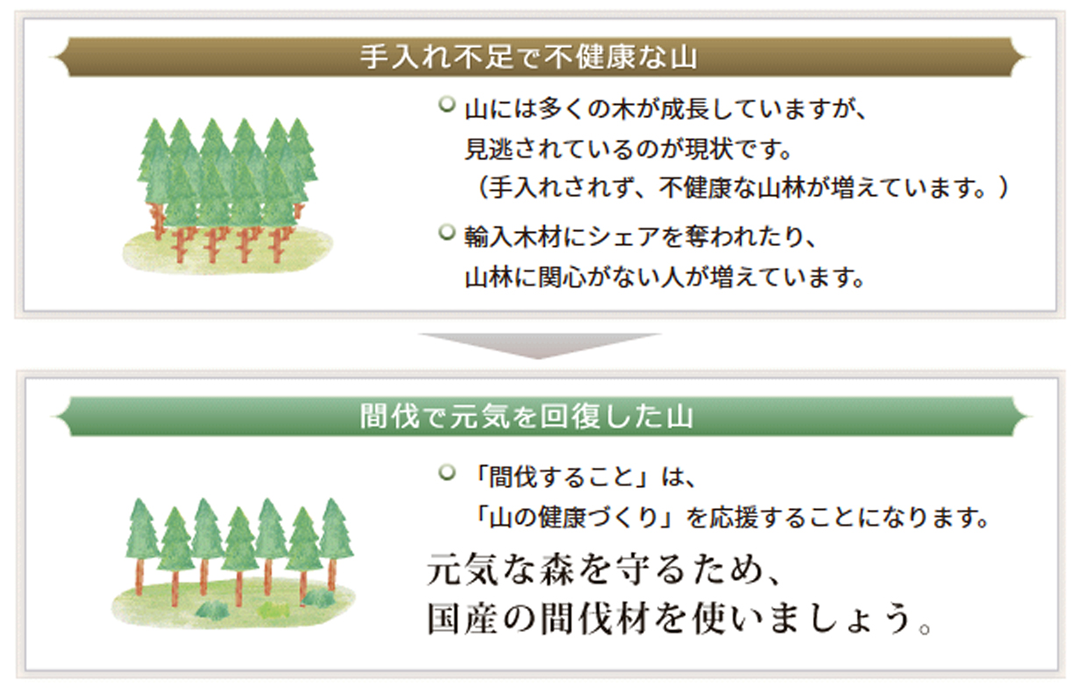 元気な森を守るため、国産の間伐材を使いましょう。