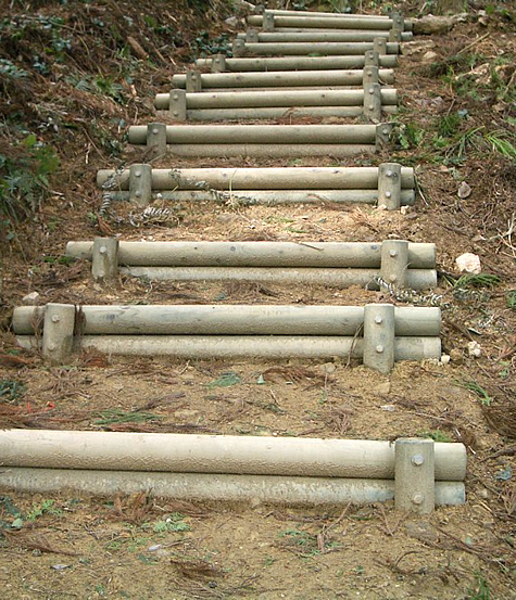 （写真）兵庫県多可町　森林公園内