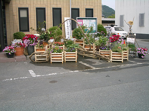 （写真）プランター