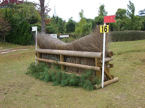 (写真)兵庫県三木ホースランドパーク 総合馬術 （野外騎乗・クロスカントリー）