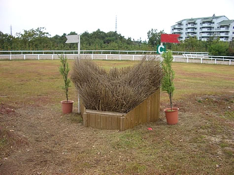 （写真）兵庫県三木ホースランドパーク 総合馬術 （野外騎乗・クロスカントリー）