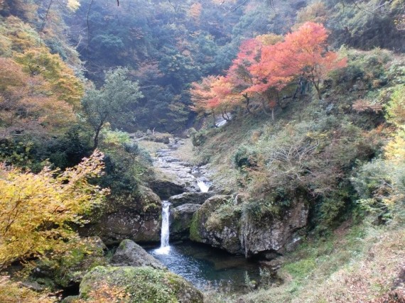 阿瀬渓谷・いもじが滝（阿瀬五瀑）の紅葉風景