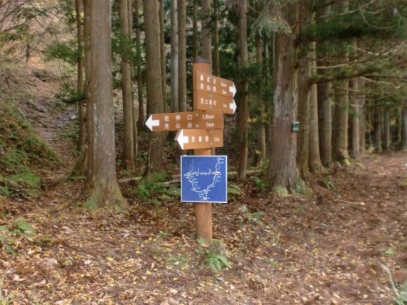 「阿瀬渓谷～金山廃村」登山道　道わけ