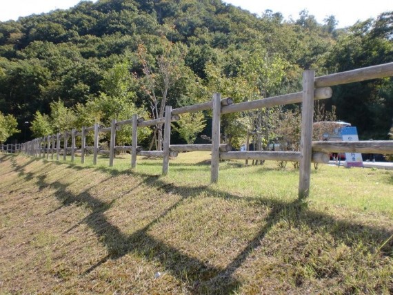 「県立有馬富士公園」　育樹祭時に施工した木柵