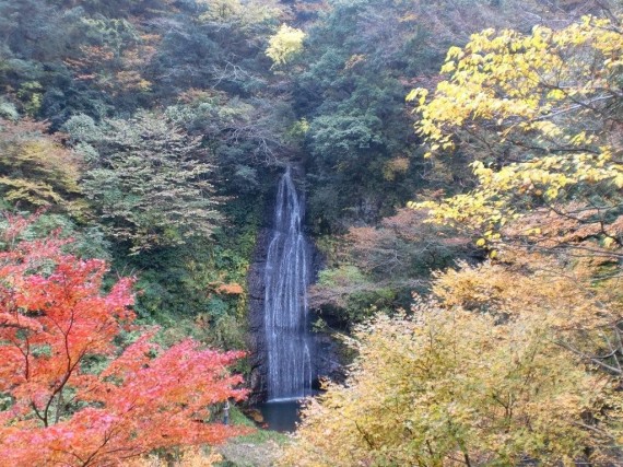 阿瀬渓谷・源太夫滝（阿瀬五瀑）　紅葉風景