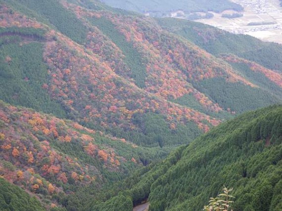 木製資材を荷揚げした地点からの眺め　（紅葉した山）