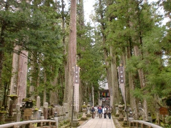 高野山・奥の院　　（これから奥は写真撮影禁止）