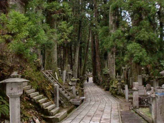 奥の院への参道　(入口付近）