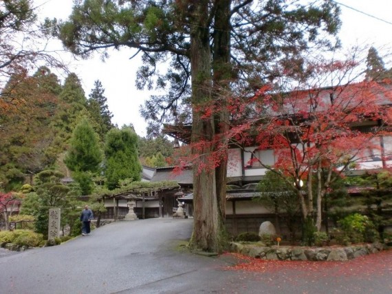 宿泊した宿坊　（門前のモミジが紅葉し、散りかけていました）