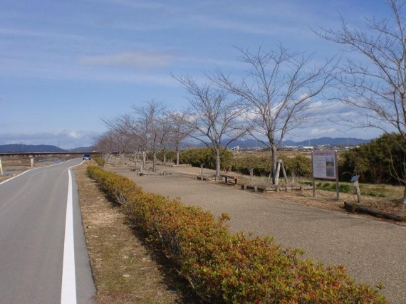 「おの桜包み回廊」　寄付樹付近の並木