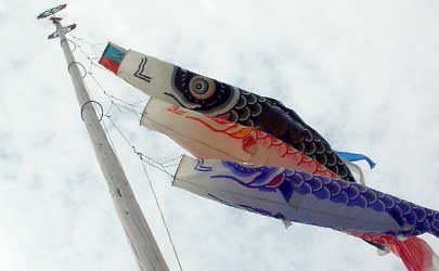 五月晴れの青空を気持ちよさそうに泳ぐ鯉のぼり