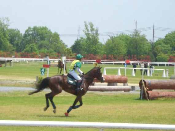 三木ホースランドパークで「総合馬術・クロスカントリー競技」を観戦