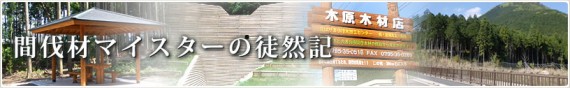 「間伐材マイスターの徒然記」　『第１００号』記念号