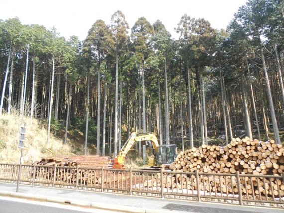 「木柵」と「木材搬出風景」　　（背景に搬出元の森林も）