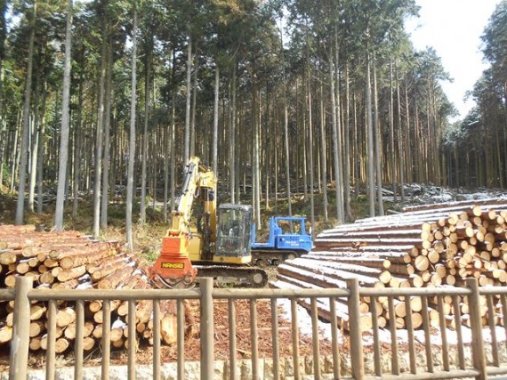 「木柵」と「木材搬出風景」　（搬出さらた間伐材の間に、「グラップ」と「林内作業車」）