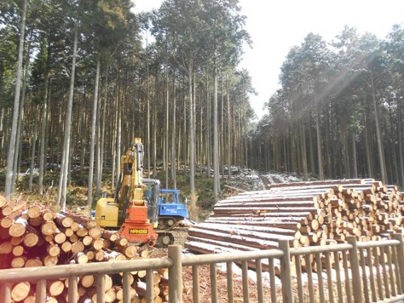 「木柵」と「木材搬出風景」　（搬出元の森林と林道を望む）