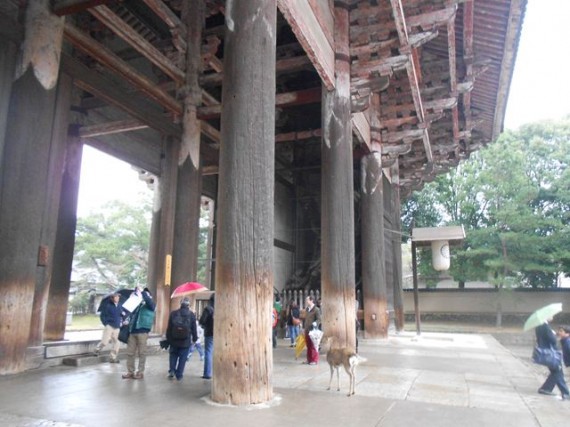 「東大寺・南大門」のヒノキの大柱（丸柱・円柱）　　直径１ｍ×高さ２１ｍの柱が１８本あります