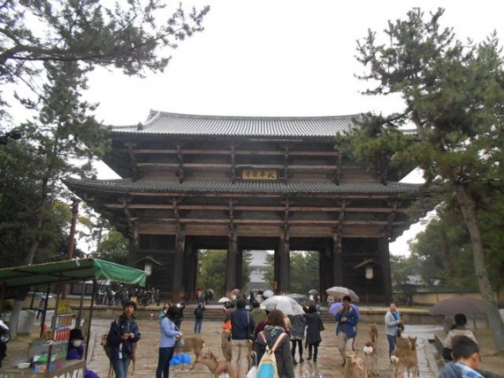 『丸柱・円柱巡礼」第１号　「東大寺・南大門」全景