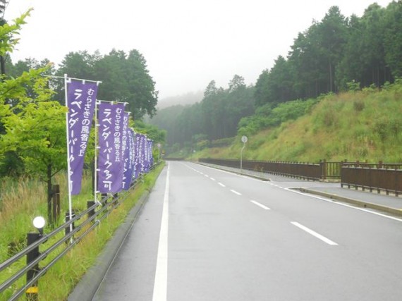 「ラベンダーパーク多可」への接続道路　（右側が、弊社施工の「木柵工（転落防止柵））