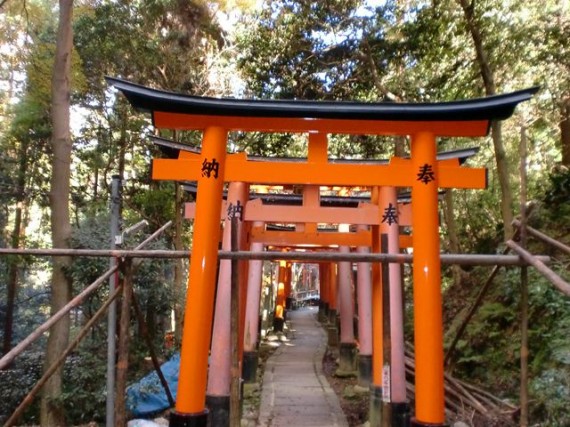 修繕中の「奉納鳥居」　（作業に使う足場には「木製・足場丸太」も