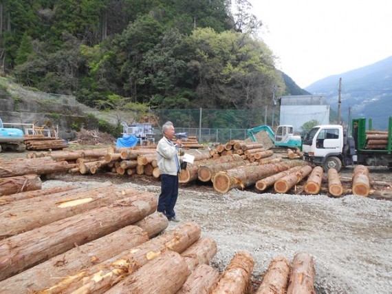 「金原治山治水財団」　山土場での説明　（約１００年生の良材がびっしり）