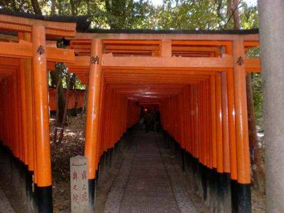 「鳥居のトンネル？」　「千本鳥居」の入口