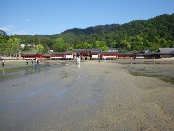 宮島・厳島神社　干潮で海岸に降りて、鳥居を近くで見たり、神社側を振り返りました