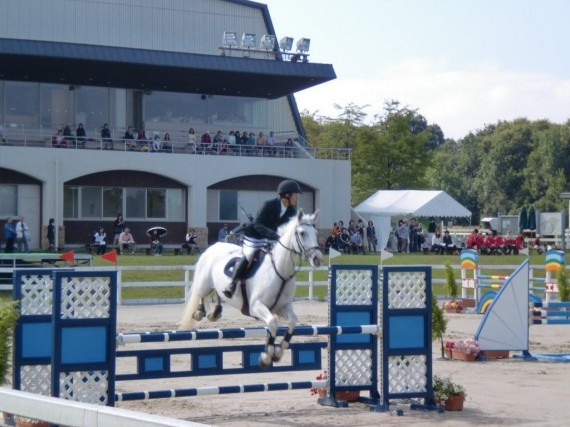 三木ホースランドパークでの「障害馬術」の競技会　（飛越障害は弊社納入）