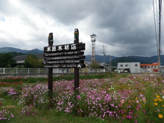 休耕田の「コスモス畑」の立つ弊社「木製看板」(案内板）