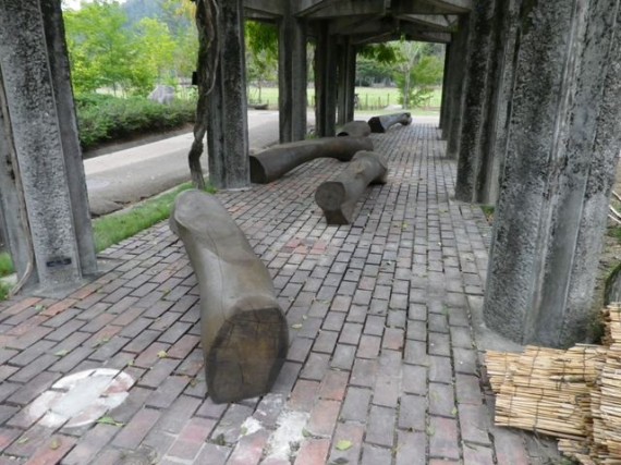 兵庫県立フラワーセンター　棚下の自然木ベンチ　