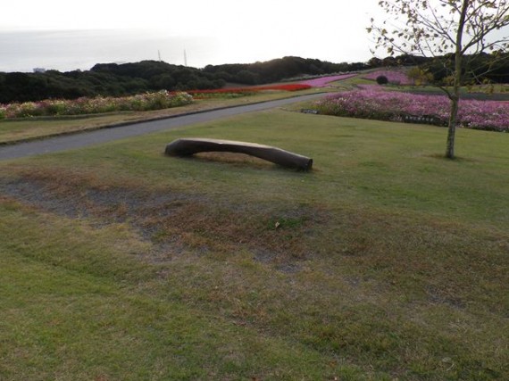 あわじ花さじき　自然木ベンチ（拡大）