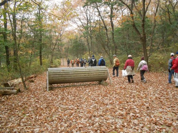 紅葉の三木ホースランドパーク　クロスカントリーコースの「飛越障害」の脇をウオーク