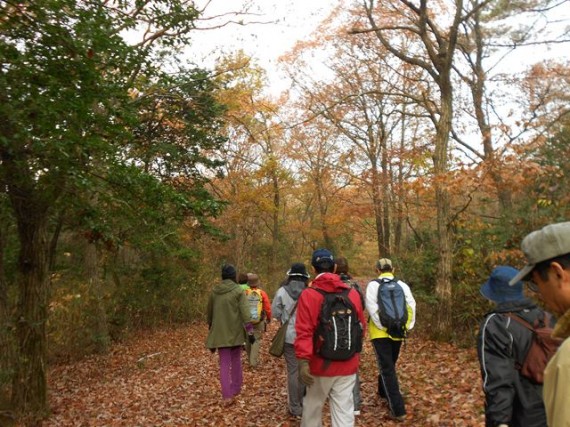 紅葉の「三木ホースランドパーク」森林浴ウオーク