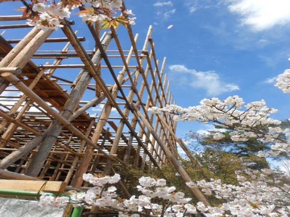 「桜」の間から見た「足場組み」　（その１）