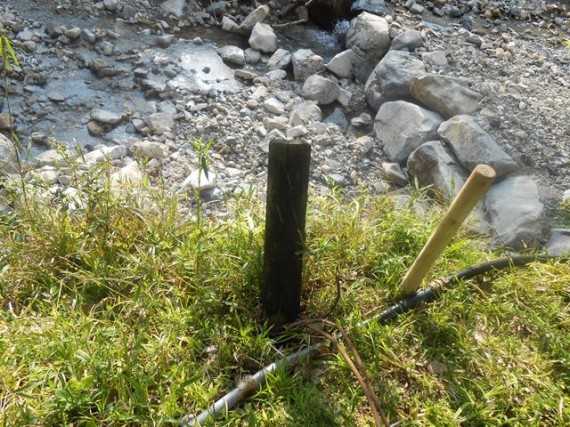 水道管を谷川を渡すために設置されていた「木杭」　（約15年経過）