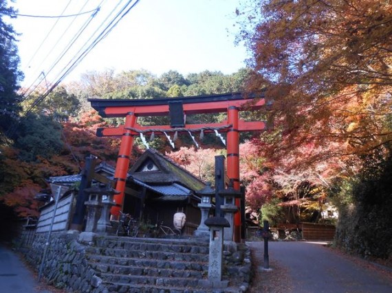 嵯峨・鳥居本の大鳥居　（鳥居正面から）