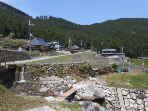 棚田百選「岩座神」の谷川に架かる丸棒製「流れ橋」