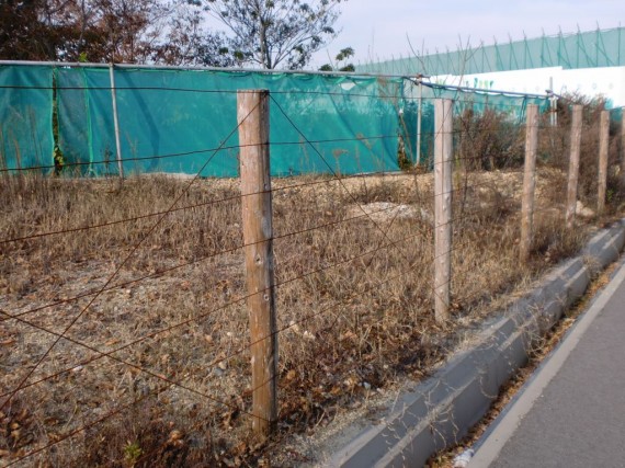 松丸太 松杭の製造 販売木材店です 兵庫県下全域に配達しています 直径９ｃｍ １０ｃｍ １２ｃｍ １５ｃｍ等ほぼ対応できます 木原木材店