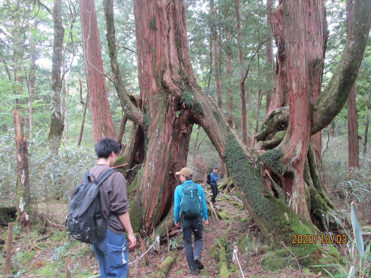 「『屋久島』へ行って来ました！？」　四国・林業先進地見学記（その１）